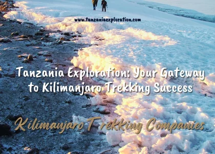 Kilimanjaro Tour