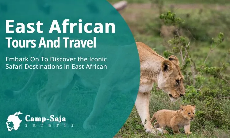 Embark On To Discover the Iconic Safari Destinations in East African