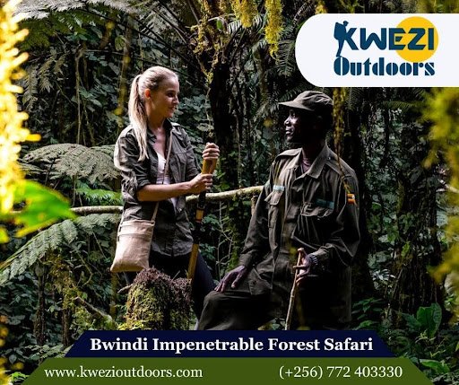Bwindi Impenetrable Forest