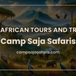 East African Tours and Travel