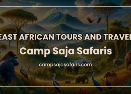 East African Tours and Travel