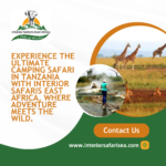 East African Safari Tours in Ruaha