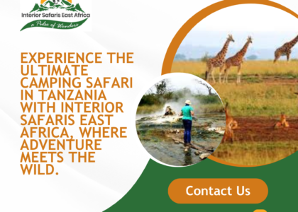 East African Safari Tours in Ruaha