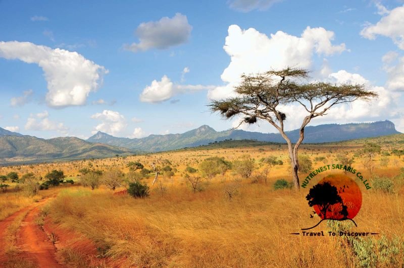 Kenya's Natural Heritage