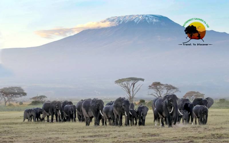 Amboseli National Park