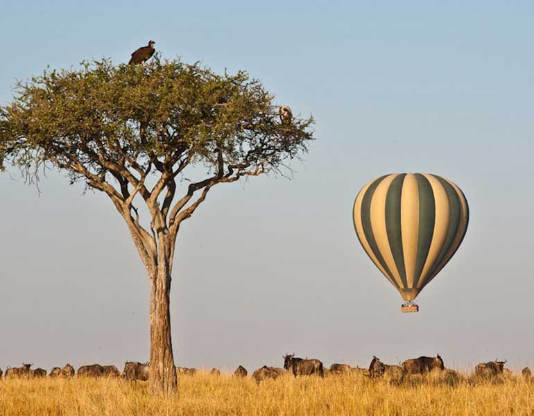 Balloon Safari