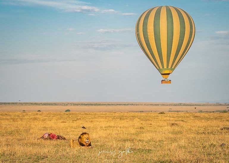 Balloon Safari