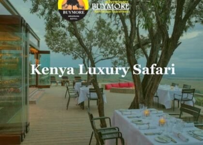 Budget Kenya Lodge Safaris