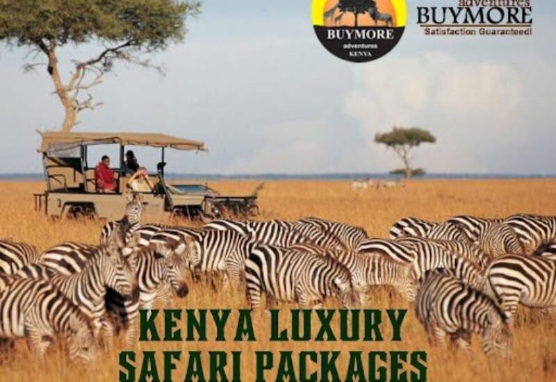 Luxury Safari in Kenya