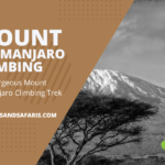 Mount Kilimanjaro Climbing