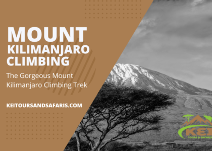 Mount Kilimanjaro Climbing