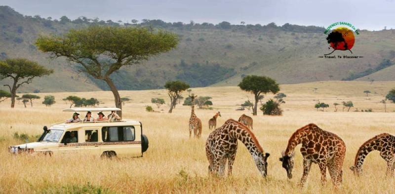 Uganda Wildlife Safaris