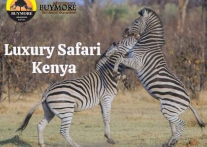 Kenya Luxury Safari