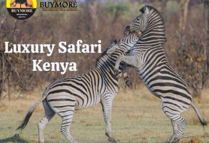 Kenya Luxury Safari