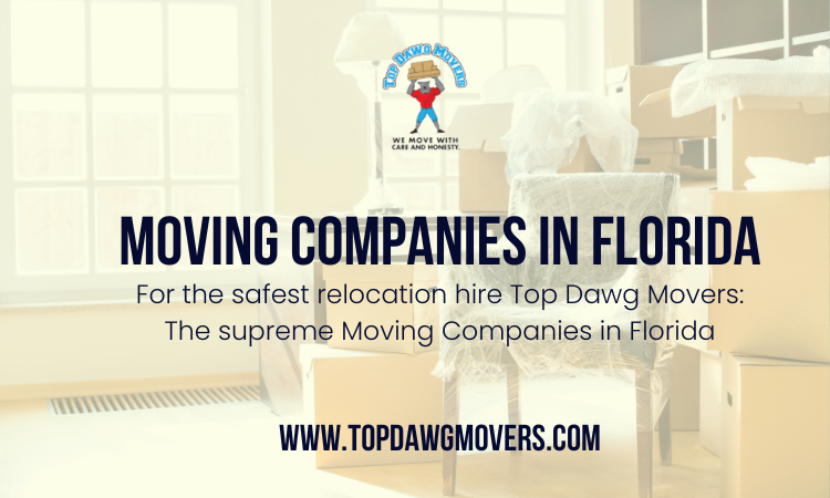 Best Moving Companies Florida