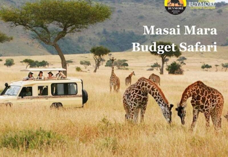 Masai Mara Budget Safari