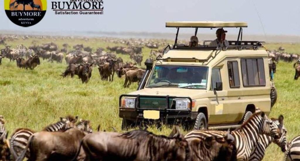 Luxury Safaris in Kenya