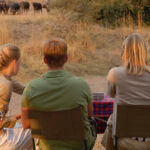 Family Safaris in Tanzania