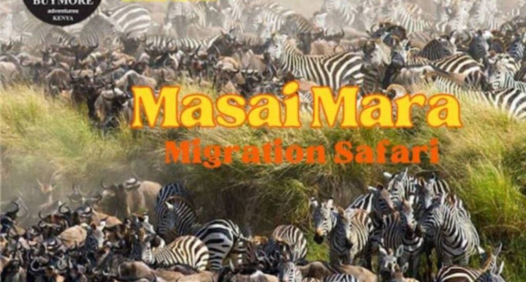 Masai Mara Migration