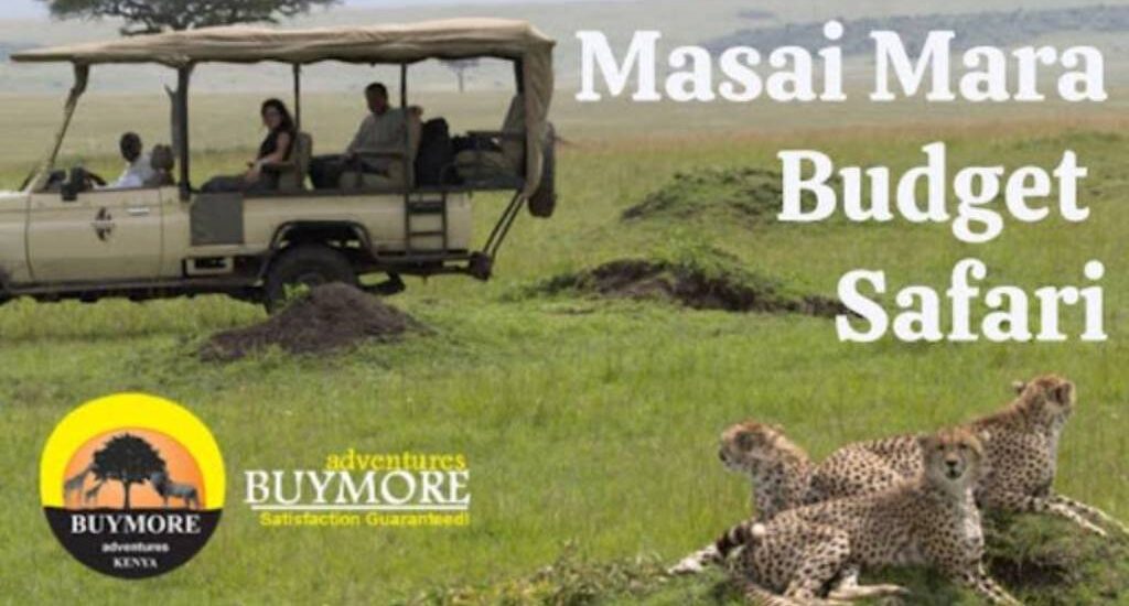 Affordable Masai Mara Budget Safari