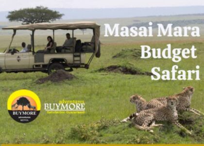 Affordable Masai Mara Budget Safari