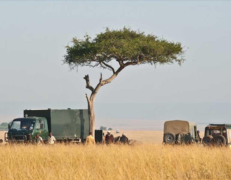 African Safari Kenya