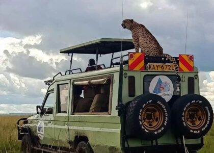 African Safari Kenya